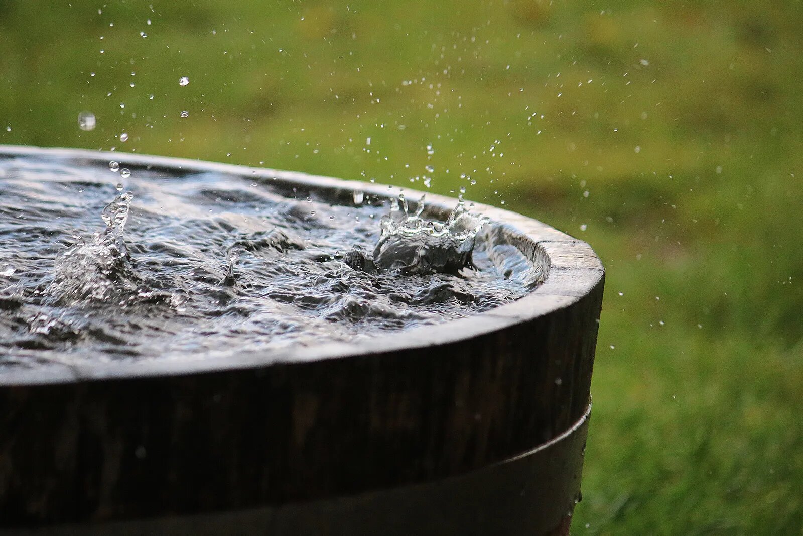 Consejos para Recolectar y Utilizar Agua de Lluvia