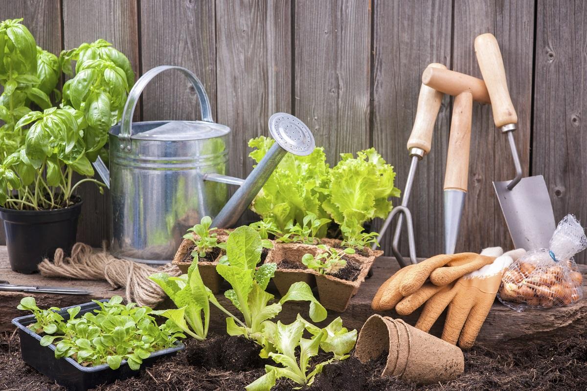 Recetas y Métodos para Crear Fertilizantes Naturales en Casa